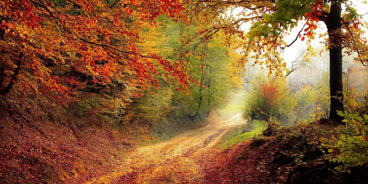 3-Gestirn – persönlicher Weg und Entwicklung